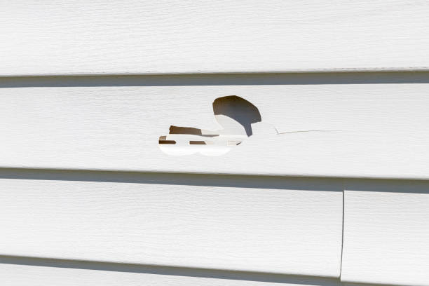 Best Residential Vinyl Siding Installation  in Bonnetsville, NC